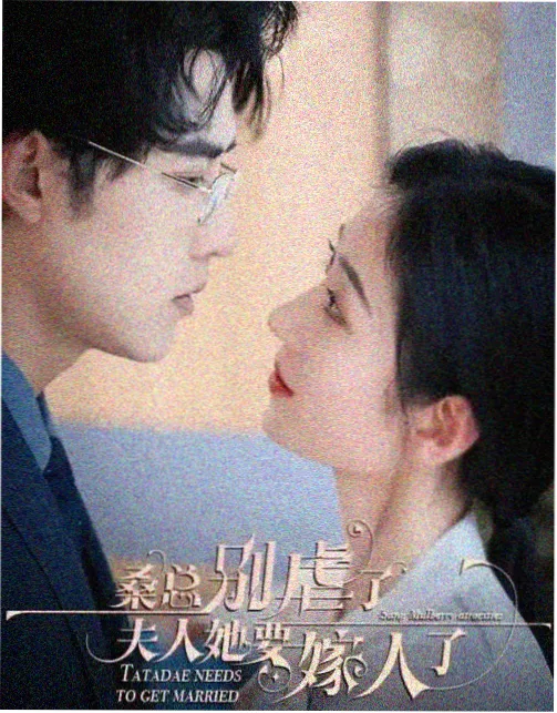 繁花 热门剧集免费看